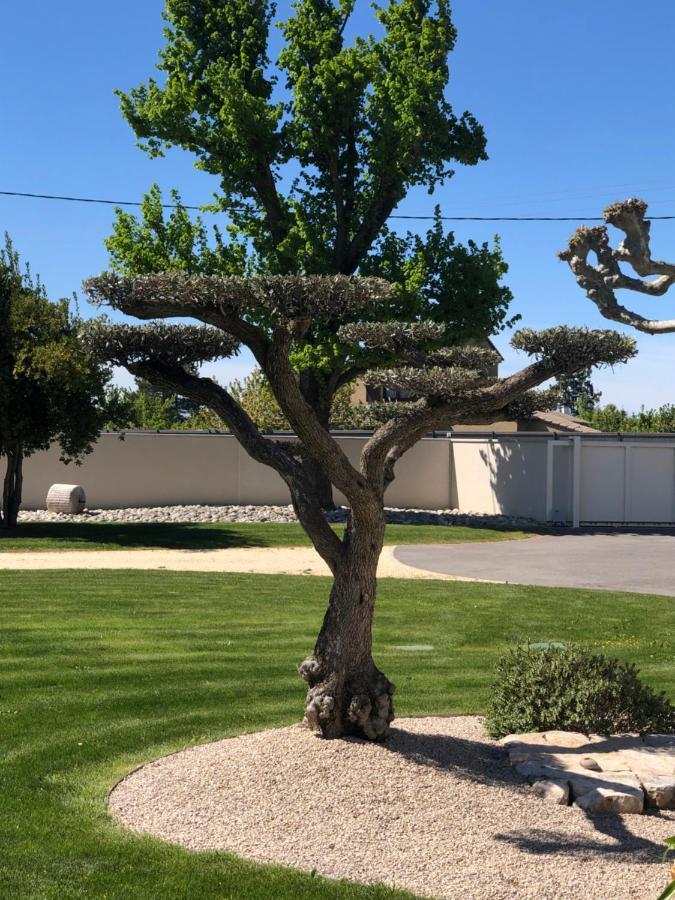 Le Vieux Platane Villa Malissard Exteriör bild